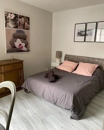 Le Patio Cathare * Carcassonne