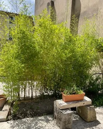 Le Patio Cathare Apartment Carcassonne