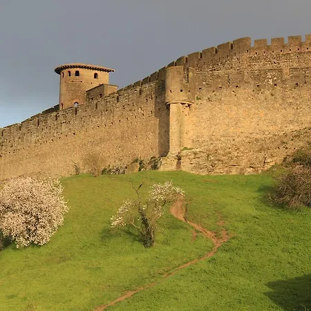 Le Patio Cathare Carcassone