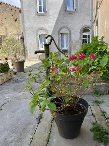 Le Patio Cathare Hotel Carcassonne