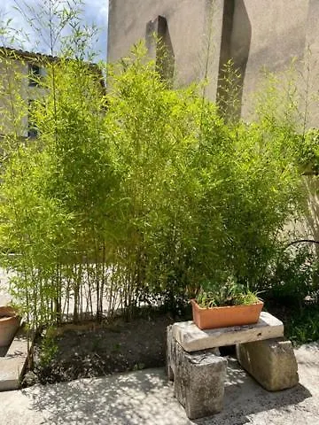 Le Patio Cathare Hotel Carcassonne