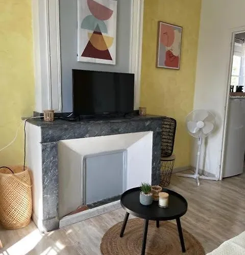 Hotel Le Patio Cathare *