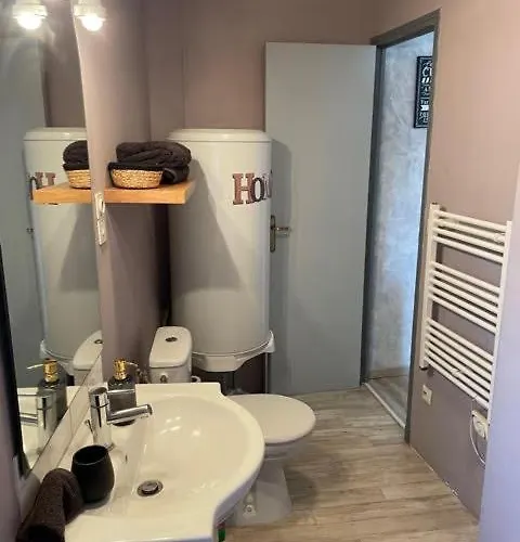 Le Patio Cathare 호텔